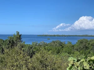 Emerson Point Preserve