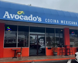 Avocados Manatee Outdoor