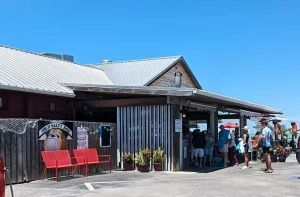 Old Salty Dog (Sarasota)